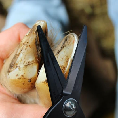 Goat Hoof Trimmers Sheep Hoof Trimming Shears Nail Clippers Multiuse on Garden, Switch Lock, Spring Loaded, Wrist Loop, Right or Left Hand Use
