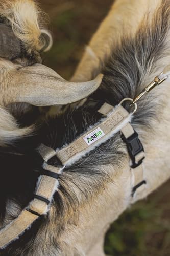 Asatre Goat Harness - Adjustable Livestock Harness - Medium - size: Medium
