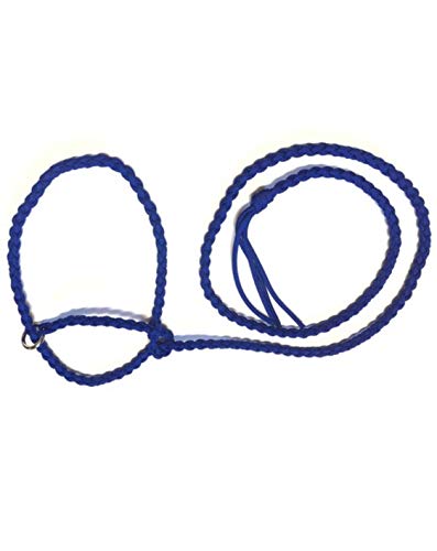 adustable goat halter and lead electric blue sheep halter small livestock halter