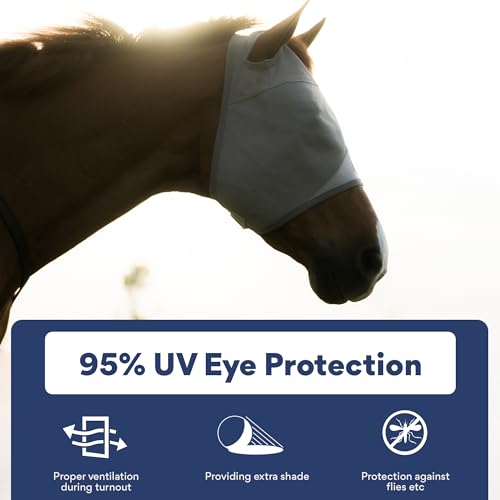 Horse Fly Mask Without Ears, Built-in Visor, Standard Medium/Large