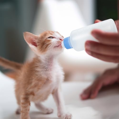 UPKOCH Cat Feeding Bottles 3 Pack Pet Milk Bottles for Kittens and Puppies Lightweight Portable Nursing Supplies for Newborn Animals 3.34 X 1.37 X 1.37 in