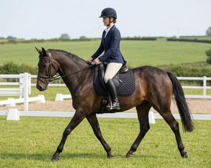 CHALLENGER Horse 23" x 20" English All-Purpose Contoured Quilted Trail Saddle Pad 72143 - color: 블랙.