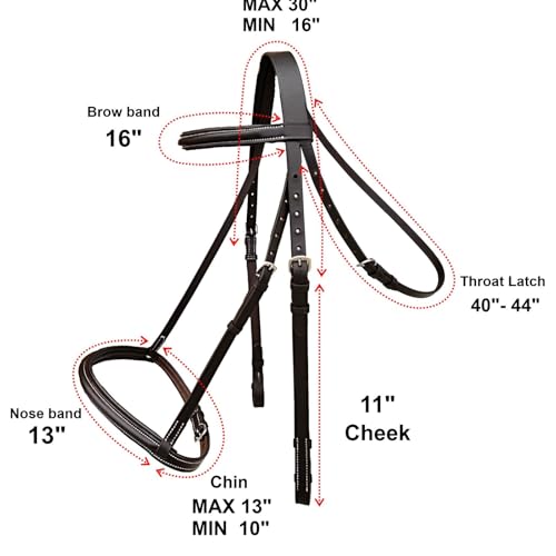 Majestic Ally Padded Raised English Bridle, Premium Leather, Matching Laced Reins - color: Brown, size: Full