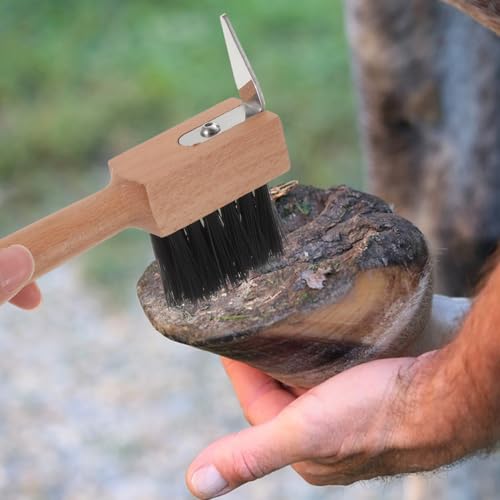 Hemoton Horse Hoof Brush Wooden Handle Hoof Care Tool for Cattle Sheep and Camels Metal Bristles for Cleaning Trimming and Grooming Portable 6.69 X 3.93 X 1.18 in