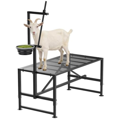 Goat Stand with Adjustable Headpiece & Legs, Goat Milking Stand with Removable Feeder, Heavy-Duty Steel Platform for Grooming, Hoof Trimming & Shearing (Black, M-35 * 18Inch) - color: Black, size: M-35*18Inch