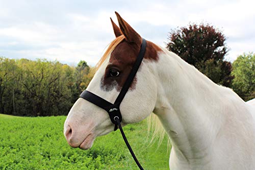Weaver Leather Stacy Westfall Catch Halter
