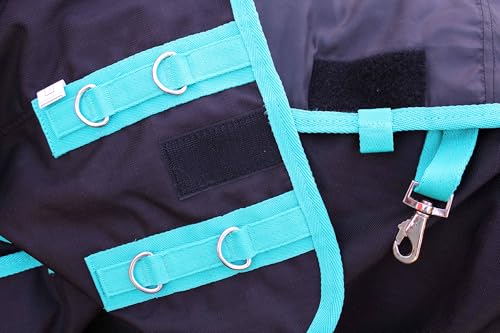 CHALLENGER 1200D Turnout Waterproof Rain Light-Weight Sheet Horse Blanket - color: Black/Turquoise Trim, size: 76"