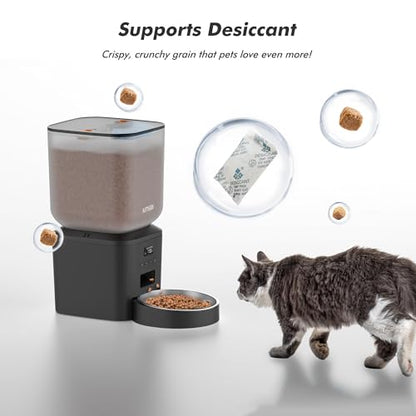 Automatic Dog Feeder - 8L/34 Cups Large Capacity Automatic Cat Food Dispenser with LCD Screen, Large Food Tray, Battery Operated, Timed Cat Feeder, Up to 50 Portions 6 Meals Per Day, Keeps Fresh - color: Matte Black