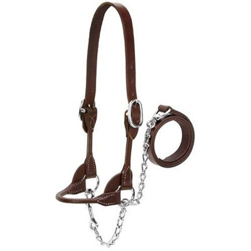 Weaver Leather Livestock Dairy/Beef Rounded Show Halter, Brown, X-Small - color: Brown, size: X-Small