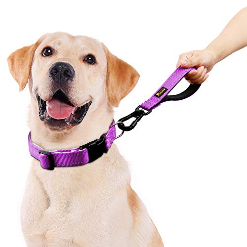 PLUTUS PET 10” Short Dog Leash, Reflective Nylon Padded Handle, Strong Traffic Leash with Carabiner Clip, Perfect for Large or Medium Dogs（10”，Purple | Reflective, Heavy Duty Strong Nylon, Traffic Leash with Carabiner Clip for Training Walking (10", Purpl