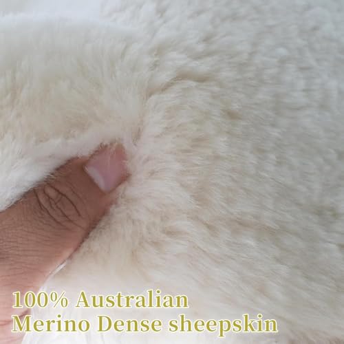 Aegis Cover Sheepskin Seat Cover Genuine Australian Merino Wool Front Seat Cover Luxury Dense Pelt Universal Fit for Most Cars, SUVs, Trucks, Bucket-Style, 54 X 22 Inches (Sand) - color: Sand