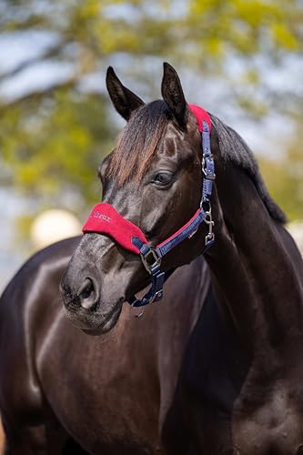 LeMieux Vogue Fleece Headcollar - Halter & Leadrope - Extra Padding, Adjustable at Curb and Poll Strap - color: Burgundy / Navy, size: full