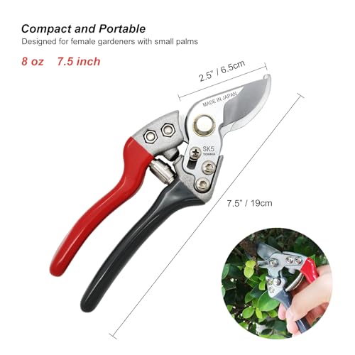 TONMA 7.5" Garden Scissors, Made in Japan, Pruning Shears & Clippers, TP-3 | 1" Cut Capacity Bypass Garden Shears, Japanese Hand Pruners Loppers for Gardening, Ergonomic Grip for Women or Small Hand - size: 7.5 inches