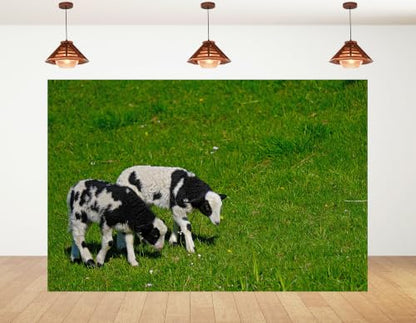 6x4ft Fabric Spotted Lamb Pair Backdrop Black White Wool Young Sheep Lush Bright Green Grass Meadow Photography Background Tapestry Party Farm Animal Decorations Photo Booth Props - size: 6x4ft
