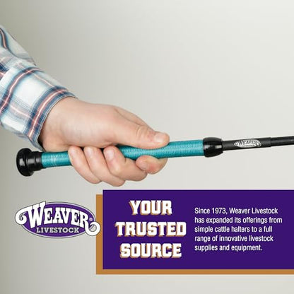 Weaver Livestock Basic Pig Show Whip, Hog Livestock Whip with Braided Nylon Handle, Leather Popper, Lightweight Braided Shaft - color: 36" - Teal