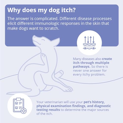 MiconaHex+Triz Wipes,2.25" round for Dogs,Cats and Horses,jar,50 Count (Pack of 2) - size: 50 Count (Pack of 2)