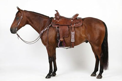 Horse Western 5" Wide Barrel Racer Engraved Aluminum Show Stirrups 51177v - color: Pink, size: 5" Width, 5" Height
