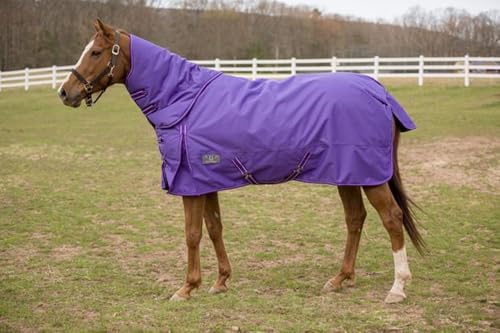 TuffRider 1200 D Comfy Winter Medium Weight Ripstop Turnout Blanket w/Detachable Neck- 200 GSM - color: Purple, size: 81