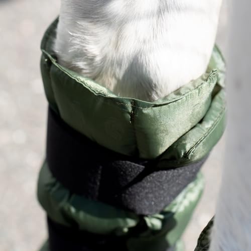 Equinavia Cool Relief Therapy Equine Ice Boots for Horses-Gel Cooling Wraps - color: Green - Pair