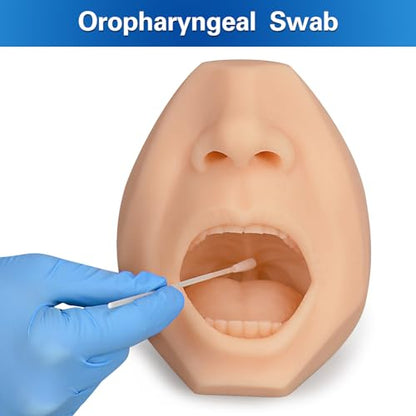 Nasal Swab Training Model, Throat and Oral Swab Collection Simulator, White - color: white