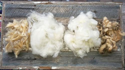 8oz Natural raw Washed Wool noil Stuffing Needle Felting core Sheep Wool w/Debris, Premium Short Fiber Fill for Arts and Crafts, Cream White, Bulk