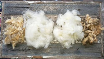 8oz Natural raw Washed Wool noil Stuffing Needle Felting core Sheep Wool w/Debris, Premium Short Fiber Fill for Arts and Crafts, Cream White, Bulk