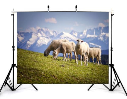 4x4ft Fabric Snow Peak Sheep Meadow Backdrop White Wool Sheep Green Hillside Bright Cloudy Sky Background Tapestry Party Alpine Grassland Decorations Photo Booth Props - size: 4x4ft