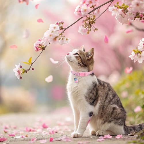 BINGPET Cat Collar Breakaway with Bell, Cute Kitten Collar,Flower and Bee - color: Flower Garden-3pcs