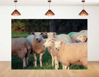 5x3ft White Wool Sheep Meadow Backdrop Fluffy Livestock Green Grass Pasture Soft Daylight Photography Background Tapestry Farm Animal Decorations Photo Booth Props - size: 5x3ft