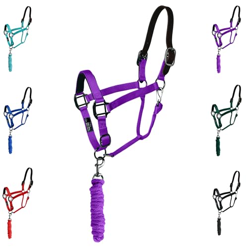 Majestic Ally Leather Halter with Matching Lead Rope for Horses – Leather Breakaway Crown - Adjustable Chin Strap – Rolled Throat Latch – Padded Noseband – Full (Purple, Draft) - color: Purple, size: Draft