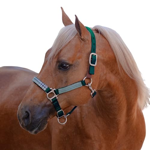 Kensington Premium Breakaway Halter with Padded Nose — Added Breakaway Safety Measures — Snap at Throat for Identical Fit Each Time - color: 2021 - Atlantis, size: Medium