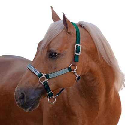 Kensington Premium Breakaway Halter with Padded Nose — Added Breakaway Safety Measures — Snap at Throat for Identical Fit Each Time - color: 2021 - Atlantis, size: Medium