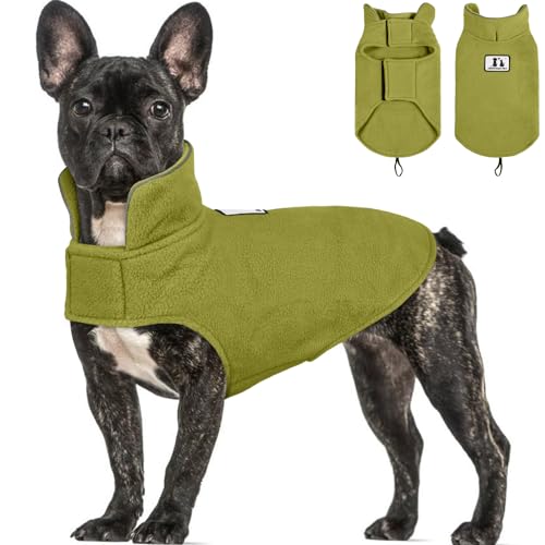DENTRUN Reversible Dog Winter Coat, Windproof Polar Fleece Reflective Vest - color: Green, size: X-Small