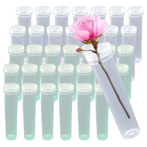 Plastic Stem Water Tubes, Clear+Green, 50Pcs, 2.8 Inches - color: Clear + Grren