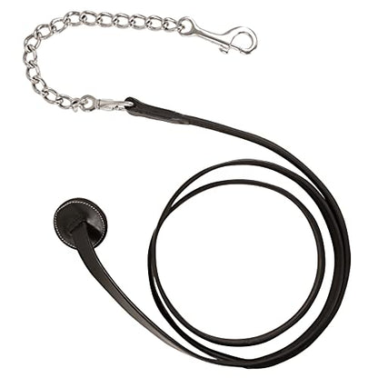 Exion Leather Soft Padded White Halter and Leather Lead with Chain Combo | Adjustable Padded Leather Halter with Snap | Padded Crownpiece | Black/Havana Brown Leather | Horse/Cob/Warmblood/Pony - color: Havana (Choco Brown), size: Pony (Small Size)-Vegeta