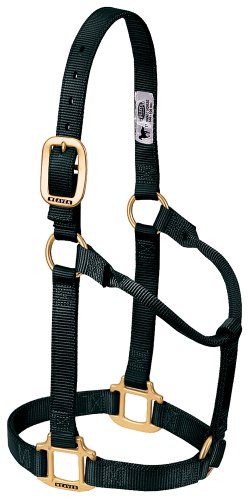 Weaver Equine Nylon Horse Halter, Triple-Ply Cheek Design, Original Non Adjustable Halters for Horses, Equine Tack,Average Size, Black