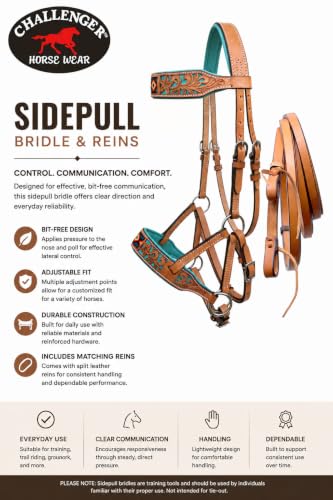 Horse Western Tan Leather Padded Bitless Training Sidepull Bridle Reins - color: Floral Filigree Turquoise