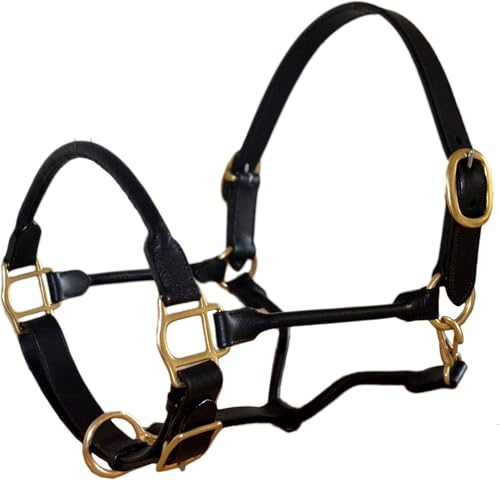 SIE Adjustable Horse Premium Rolled Leather Halter with Brass Hardware - color: Black, size: Pony