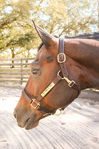 Tack Shack of Ocala Leather Halter for Horses with Customized Engraved Name Plate Option Halter for Horse | Brown/Brass, Black/Brass, Black/Chrome Options - size: Warmblood