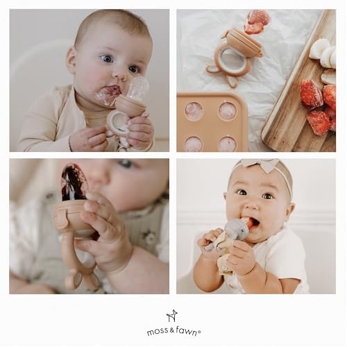 Moss and Fawn Forage Feeder - Silicone Baby Fruit Feeder - Terracotta | Frozen Breast Milk Popsicle Teether & Pacifier, BPA, PVC & Phthalate-Free - color: Terracotta