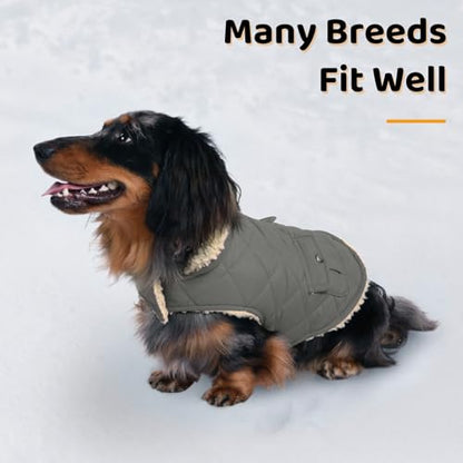 Queenmore Dog Winter Coat, Fleece Jacket, Waterproof Cold Weather Clothes - color: Grey, size: X-Small