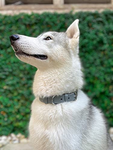 Tuff Pupper Heavy Duty Waterproof Dog Collar for Small, Medium & Large Dogs - color: Cool Gray