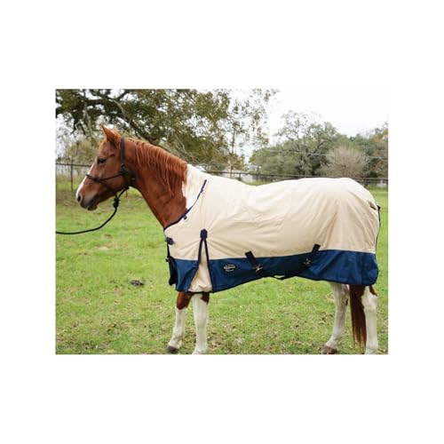 Reinsman Classic Turnout Winter Warm Horse Blanket with 200g Fill| Water-Resistant 600 Denier | Comfortable Fleece-Lined Adjustable Neck | Breathable Nylon Liner | Easy to Clean, Tan/Blue, 69"