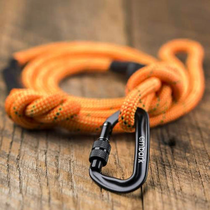 Embark Dog Leash - Heavy Duty Tough Nylon Training Lead for All Dog Breeds | Mountain Climbing Rope with Heavy Duty Locking Carabiner - Strong & Durable Nylon Pet Leash - 6 FT - Orange - color: Orange