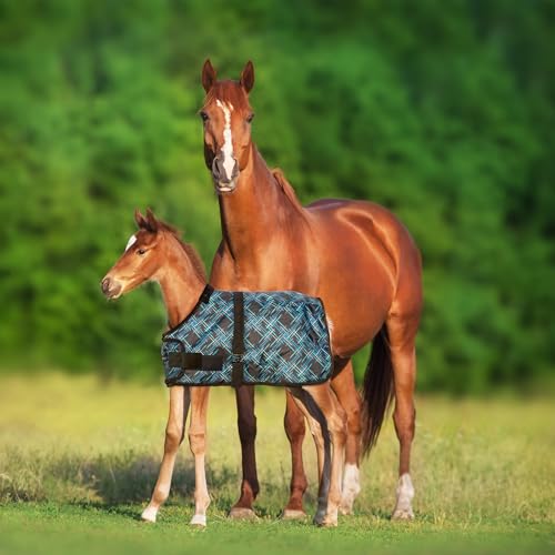 Kensington Blanket Waterproof Breathable Hook Loop 40 Atlantis 4SC180 - color: Atlantis, size: 40