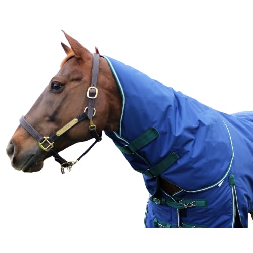 Pro-Trainer Turnout Blanket with Detachable Neck Cover in Navy, 1200-Denier Ripstop Material, No Fill, 74 Inches - Waterproof, Warm, Comfortable, Breathable Horse Blankets & Sheets - size: 74"