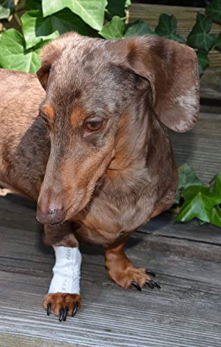 PawFlex Protective Sleeve Tubular Cover - Bandages - for Dogs Cats & Other Pets First Aid Wound Care Non-Adhesive Disposable Breathable Water Resistant 7 Strips (yields 14-21 Covers) (Small 12pk) - size: Small 12pk