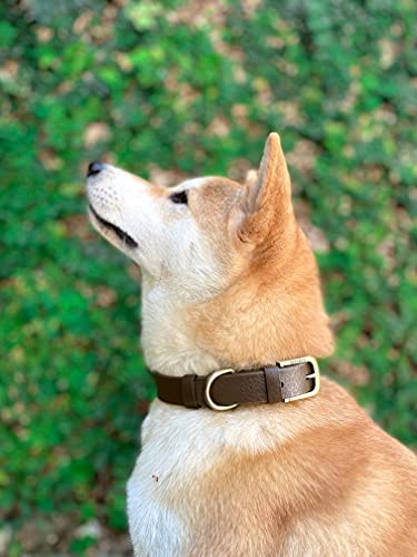 Tuff Pupper Heavy Duty Waterproof Dog Collar for Small, Medium & Large Dogs - color: Dark Brown
