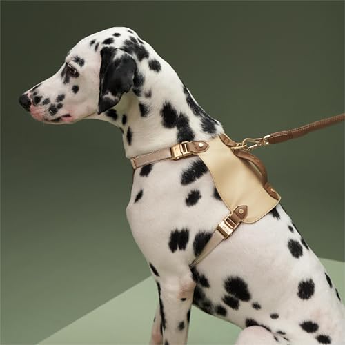 Dog Harness and Leash Set, Puppy No Pull Harness with Reflective Leash, PU Leather Pet Harness with Handle Neck & Chest Adjustable for Walking, Running (Large, Oat1)