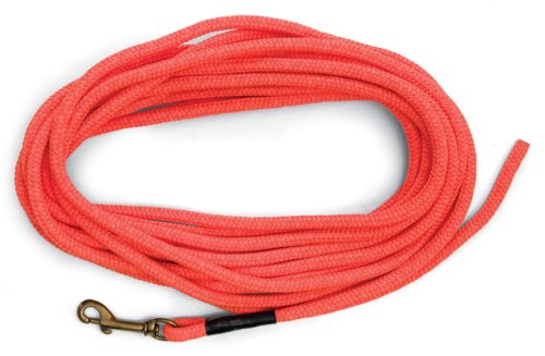 SportDOG Orange Check Cord - High-Visibility Floating Check Cord - Lightweight Tangle-Free Long Dog Training Lead with Heavy-Duty Brass Snap